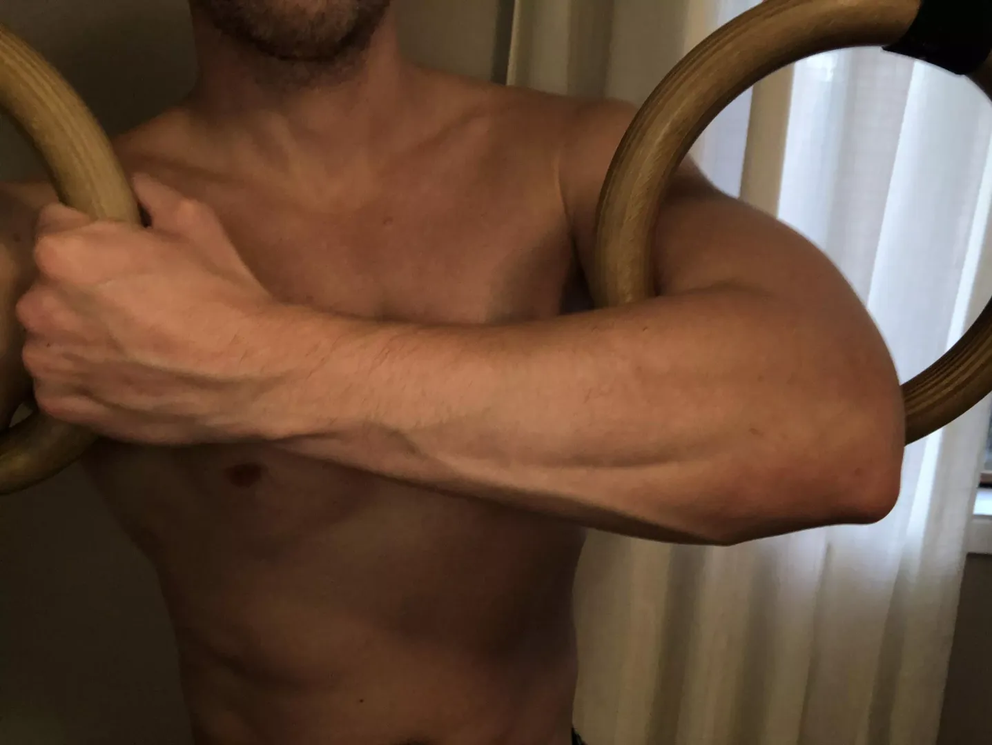 I love my gymnastic rings. They are a simple and incredibly effective tool for building strength and mobility. posted by daddiditagain