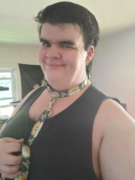 I love my new leash and collar so much!!! I gotta highly recommend Chewy's polyester collars, $30 for the leash/collar, goes as big as 26in, and is silky smooth! by NyxThePup