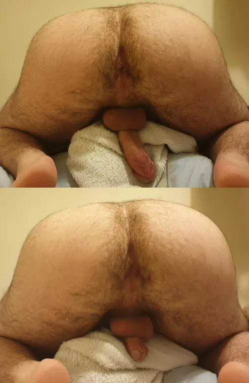 I love sharing my asshole by IncognitoModeOn69