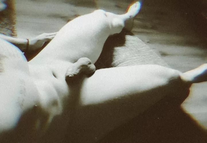 i love to be naked at home :) by humbleguy98