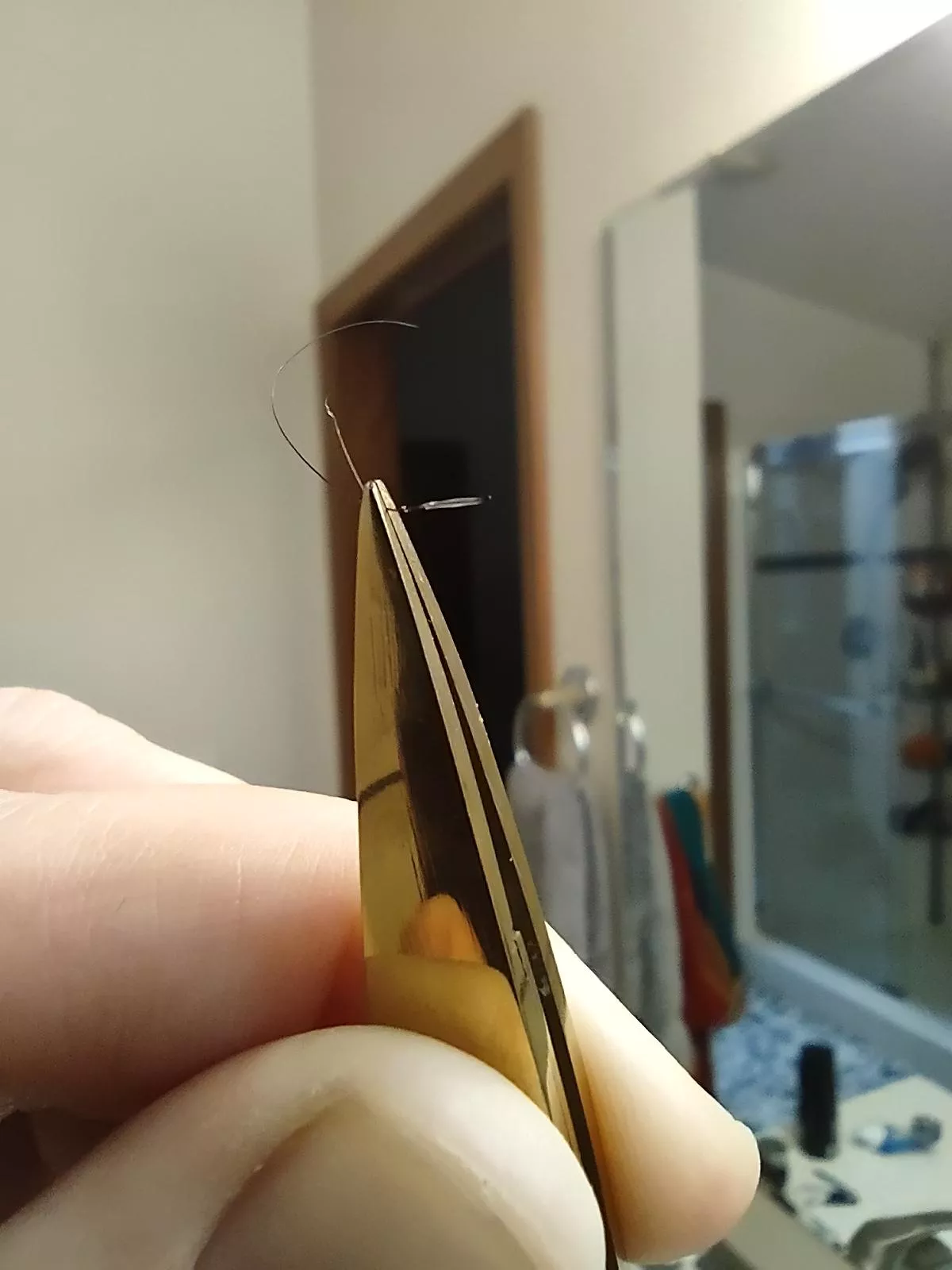 I love when I pluck a hair and the root bulb thing comes out with it. posted by chamalis