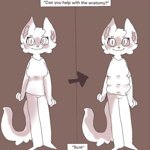 I mean cats have 6 by NigiriRat