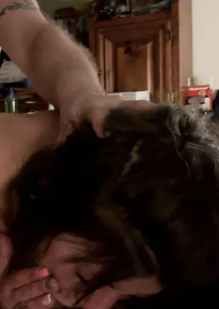 I meet two bulls for the first time yesterday by prettyvibestn