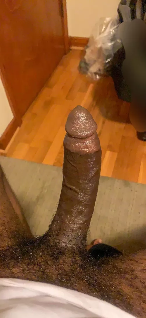 I nede sum haed by fizzlecerebellum