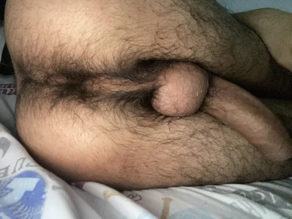 I need a creampie by Japknox