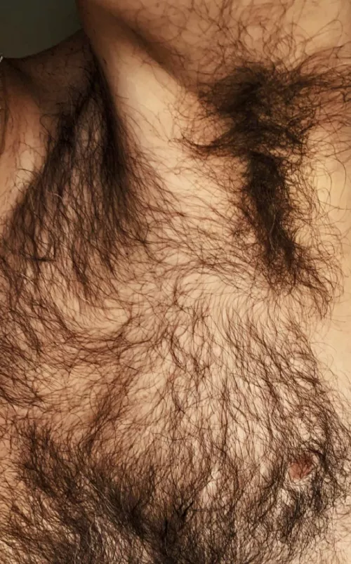 I need a good brushing... by jerseyjaxoff