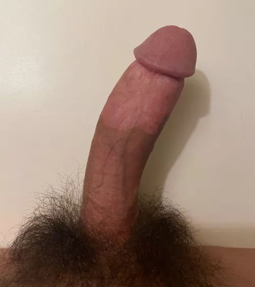 I need a hand😏 by kyleup