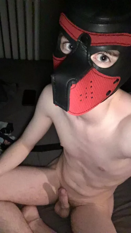 I need a handler by carsondaniels49