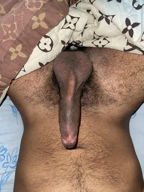I need a mouth that can hold this shit by Ill_Classroom_8980
