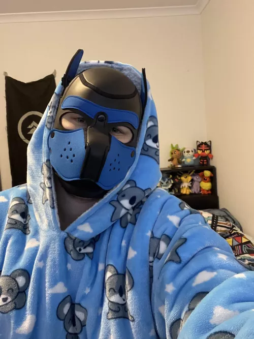 I need an Alpha to spend some koala-ty with by Thelonepupman