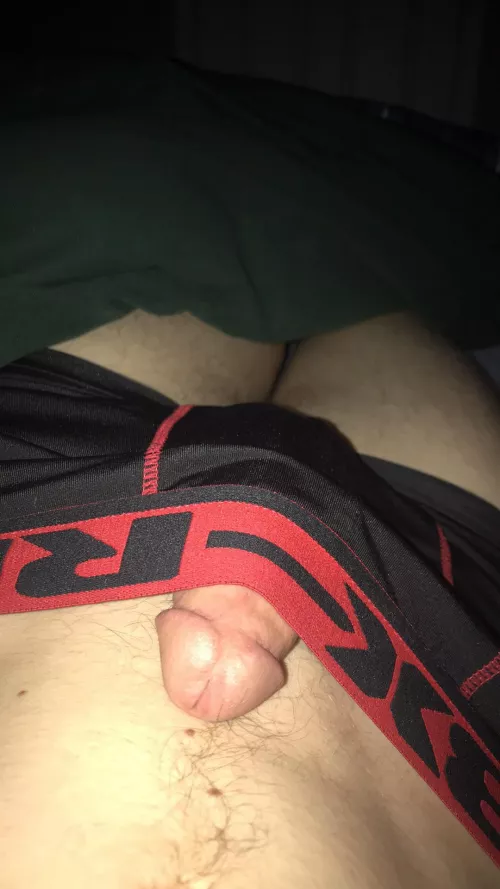 i need an owner by NikSchindler