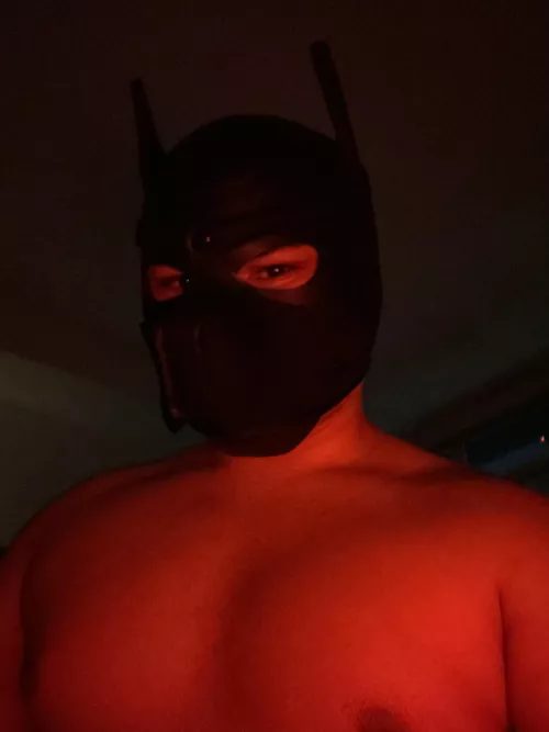 I need some more pup friends;) hmu by PupRyanInSD