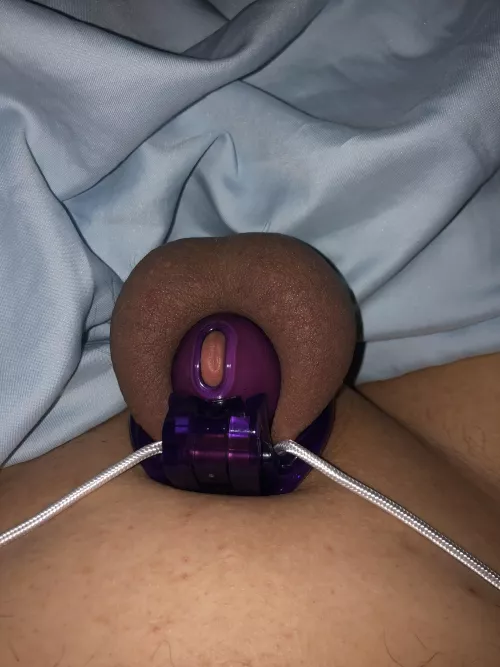 i need to be bred and milked plz sir by Candid-Guitar9686