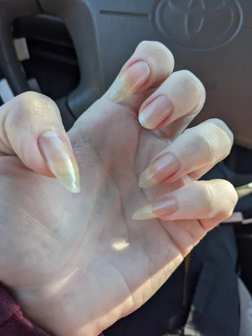 I need to be consoled 😭 admire the claws I have left extra hard for the one that broke [closeup] by EnviableIza