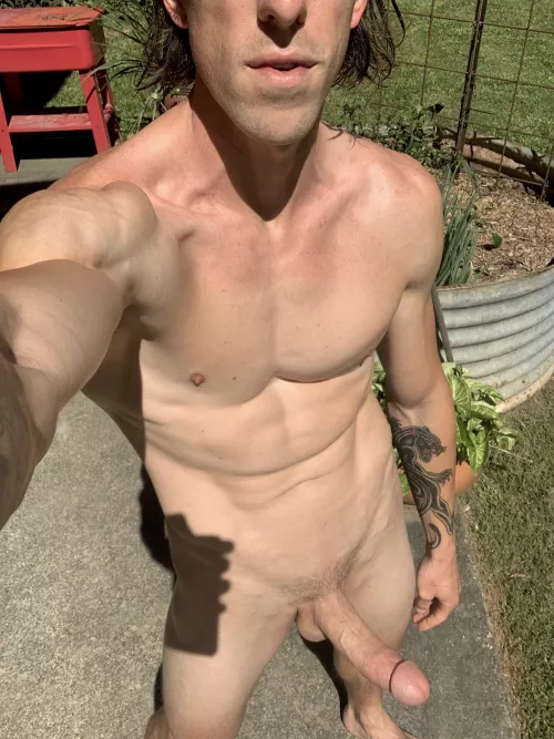 I need to rip the rest of these spring onions out but I’m a lil distracted.. by dpdwn