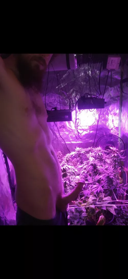 I never show my face but this pic was too good not to share it. (M) by kurttheman24