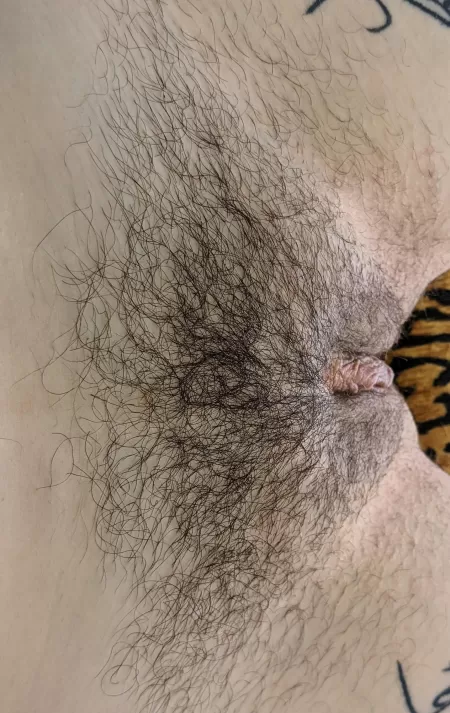 I never trim shorter than this anymore. I love being soft. [Oc] by Blueocularfiend