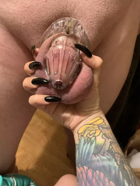 I own you. by unlovable_88