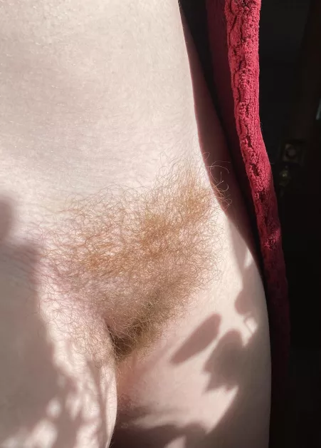 I posted a pic of my firebush with bad lighting once and someone commented “I don’t see one single ounce of red” and I’ve held resentment for that comment to this day 🤣 by SquishyL0VE