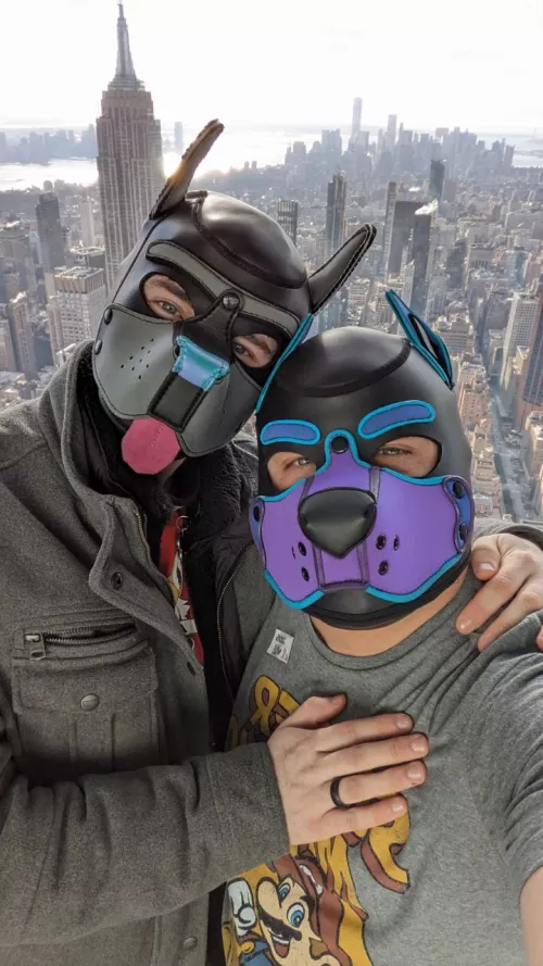 I proposed and puppy said yes by Orylus