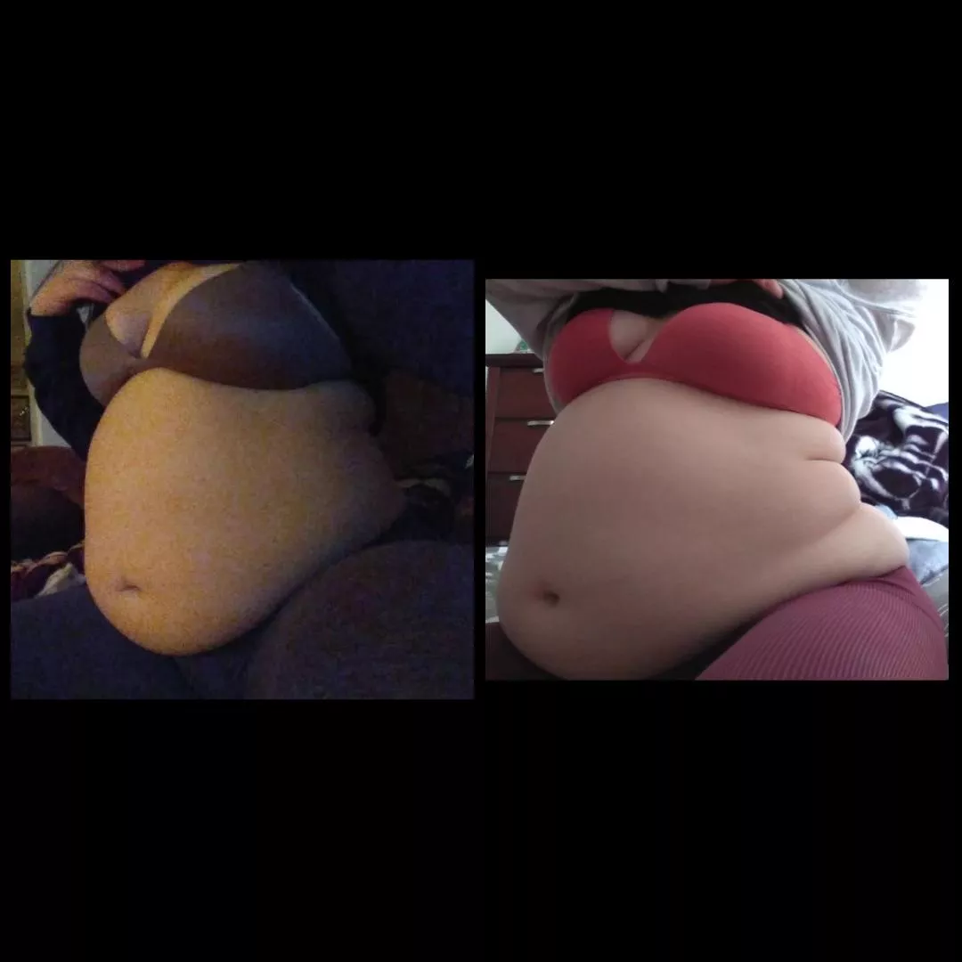 I really didn't think I gained that much weight... posted by holyheck24