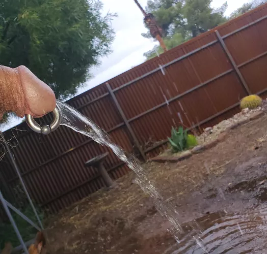 I really wanna play outside in the rain, but need someone to play with. 😩 by pm_me_hairy_cox