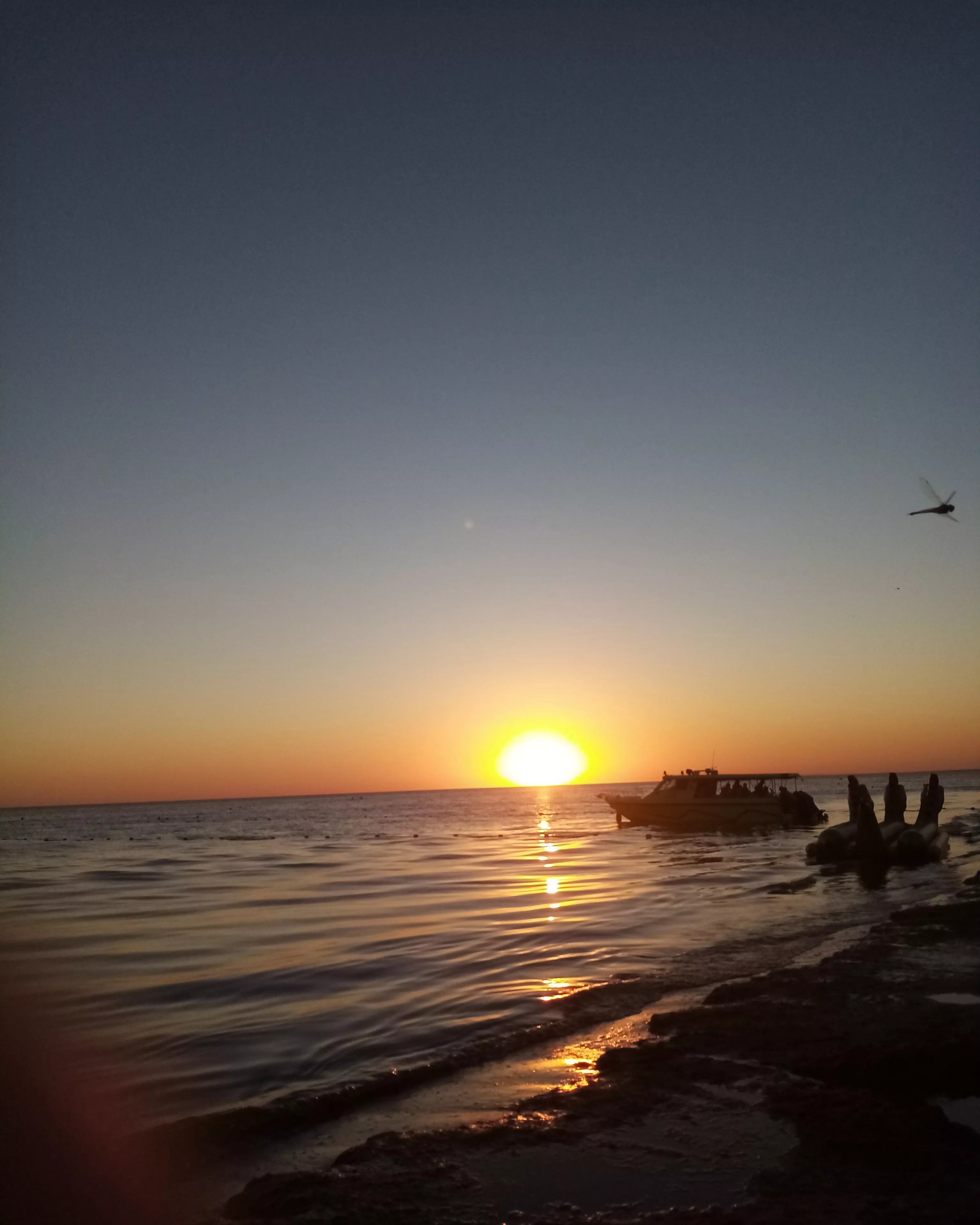 I saw the light posted by Swae_White