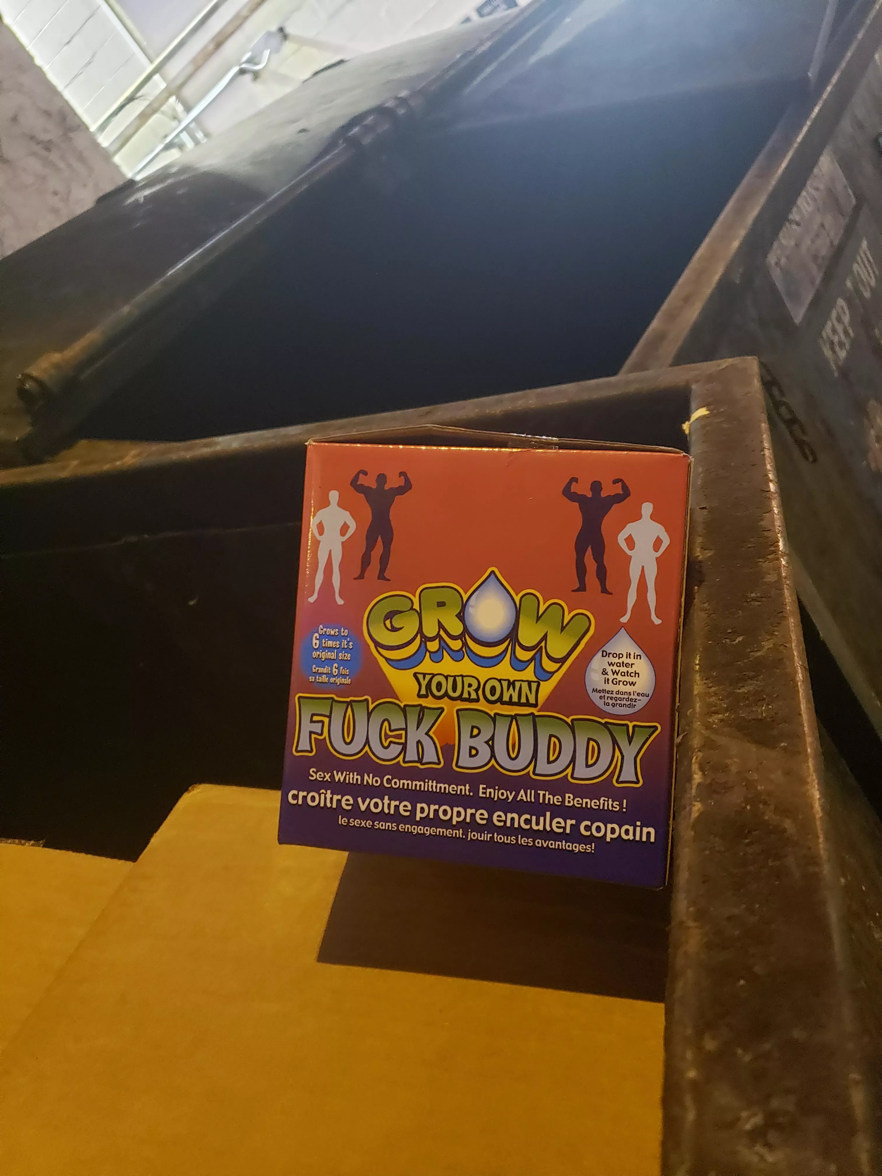 I saw this in the dumpster last night. posted by sydcooper89
