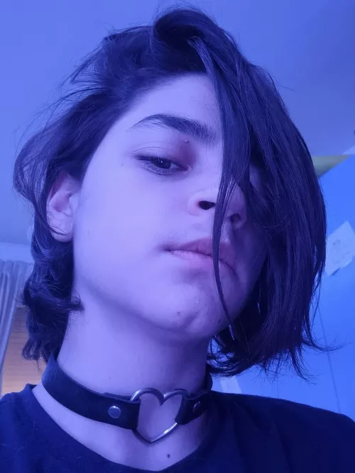 I seen that you liked the photo i posted yesterday there is another today by Canepanino