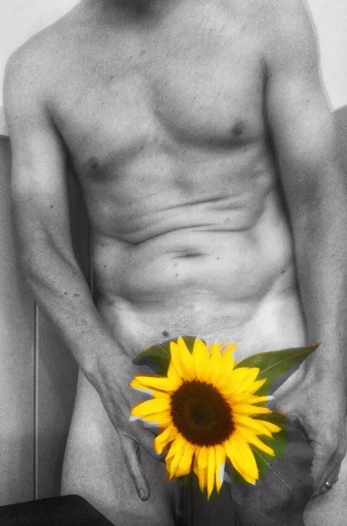 ♫ I send you a flower, a sunflower bright ♫ by helloth2020