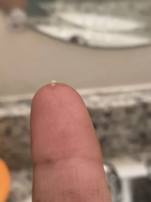 I should have filmed this random ear squeeze 😫. (Excuse the paint stains on my hands) by Worldly-Macaroon7190