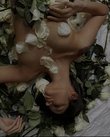 I think a little wind would have made a better picture😏💝💖 by dealnora