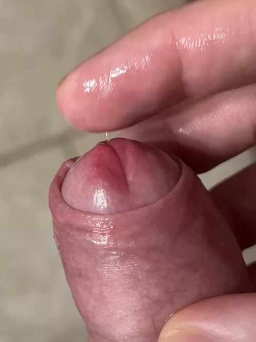 I think I love dirty talk on Reddit too much by perverted_brit