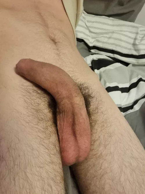 I think I should start a petition to ban clothes. What do you think? by hourhamster02