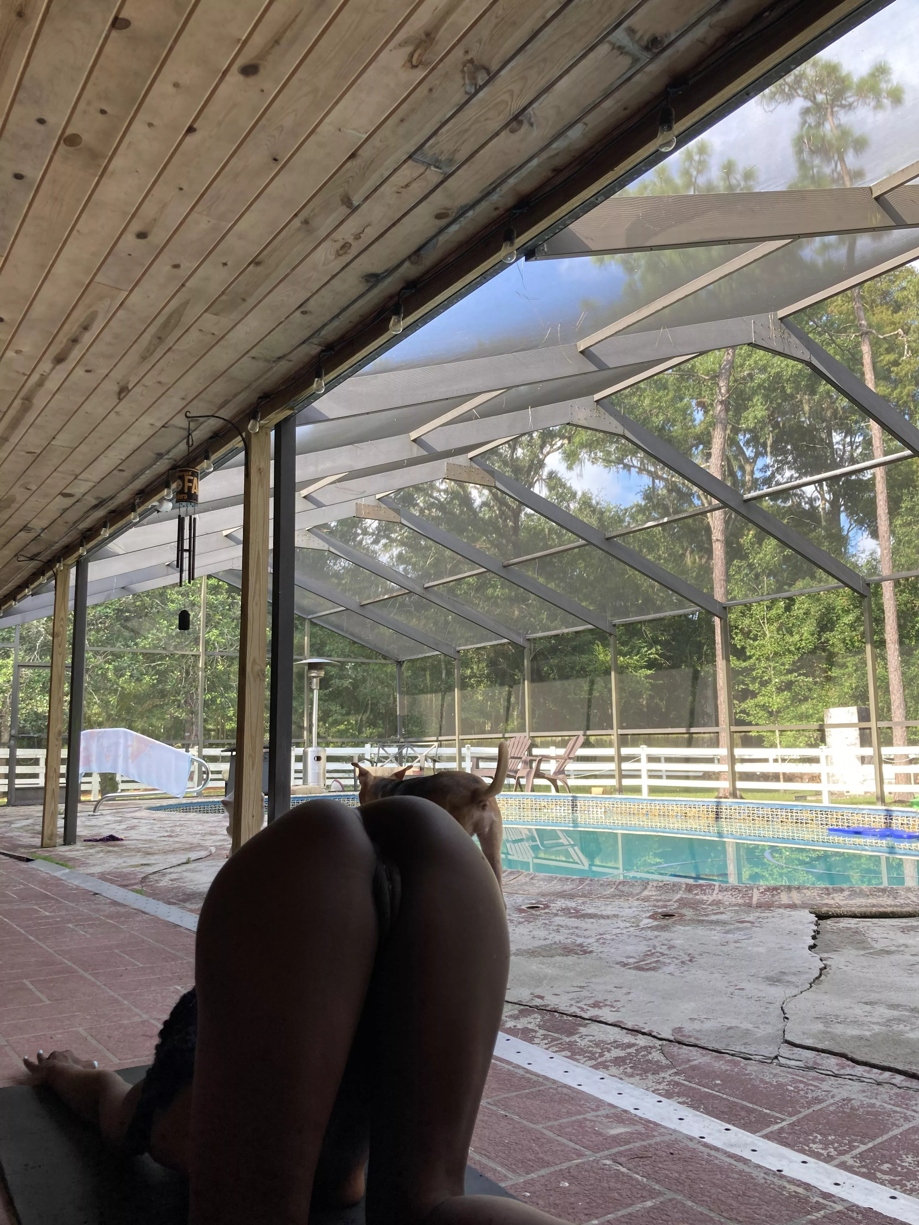 I think my neighbor behind me is watching (; posted by Divinecumslut