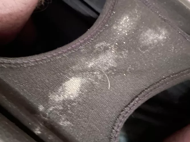 I think she was excited…..