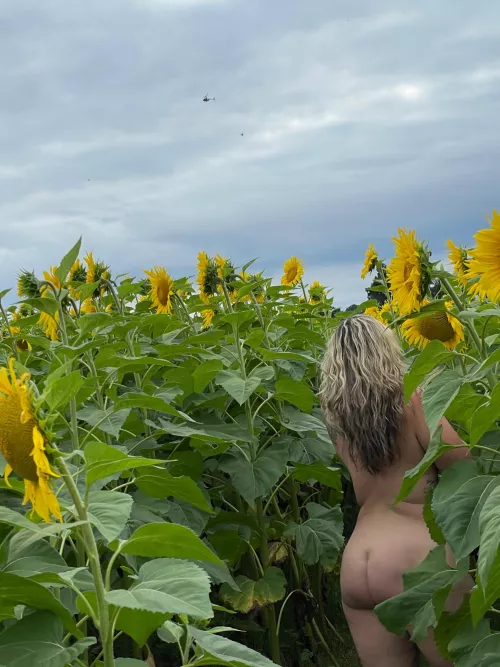 I think the helicopter was watching too. by downwitthethicknesss