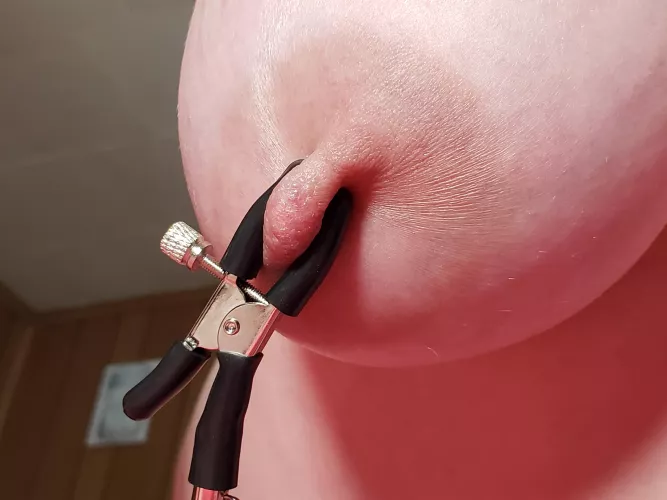 I thought I would dress them up for Halloween! Added a little bling! (F)34 by PAdragonlovers