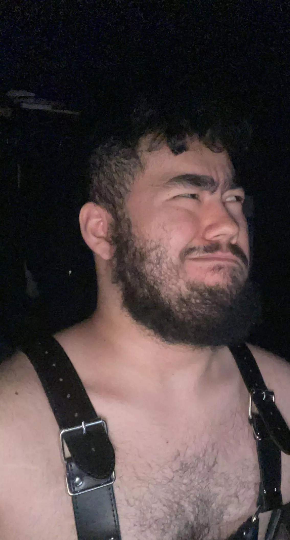 I tried a harness… (19) posted by Hedgehog_Willing