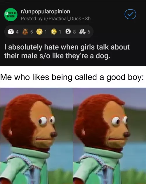 I use the puppy flair for a reason by myweirdsubaccount