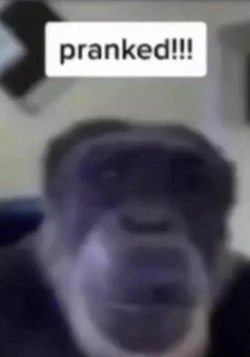 i by fuckmewithdownvotes