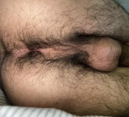 I want a daddy to fuck my ass by Japknox