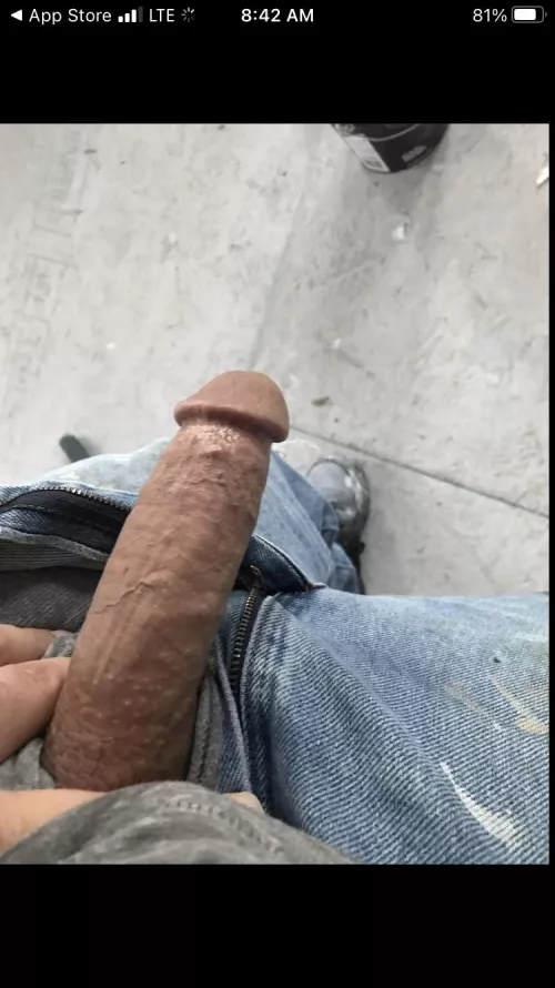 I want to breed someone for the first time do I have any takers by leithgow