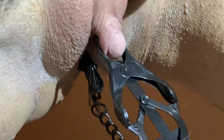 I want to feel my clit being twisted and slapped so hard today 😩 by cowholes