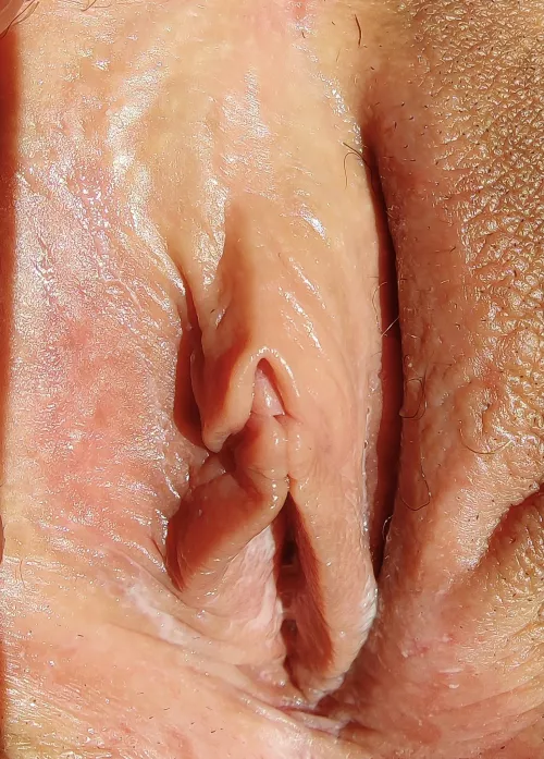 I want to feel your tongue on my clit and your fingers inside of me, before you fuck me.