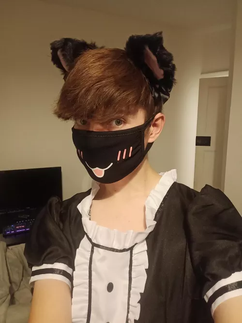 I want to find a new master by Halloween, any volunteers? 🥺👉👈 by Extra_Eager