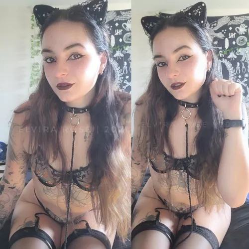 I want to fuck you like an animal🎶 by elvirarose_923