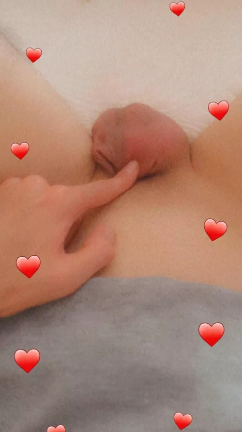 I want to hand cage it🐣 by _White_Boi_