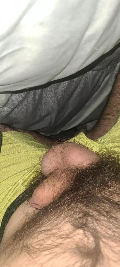 I want to suck a dick for the first time. I want a blow job from someone that knows what they're doing. by Whsgoingon