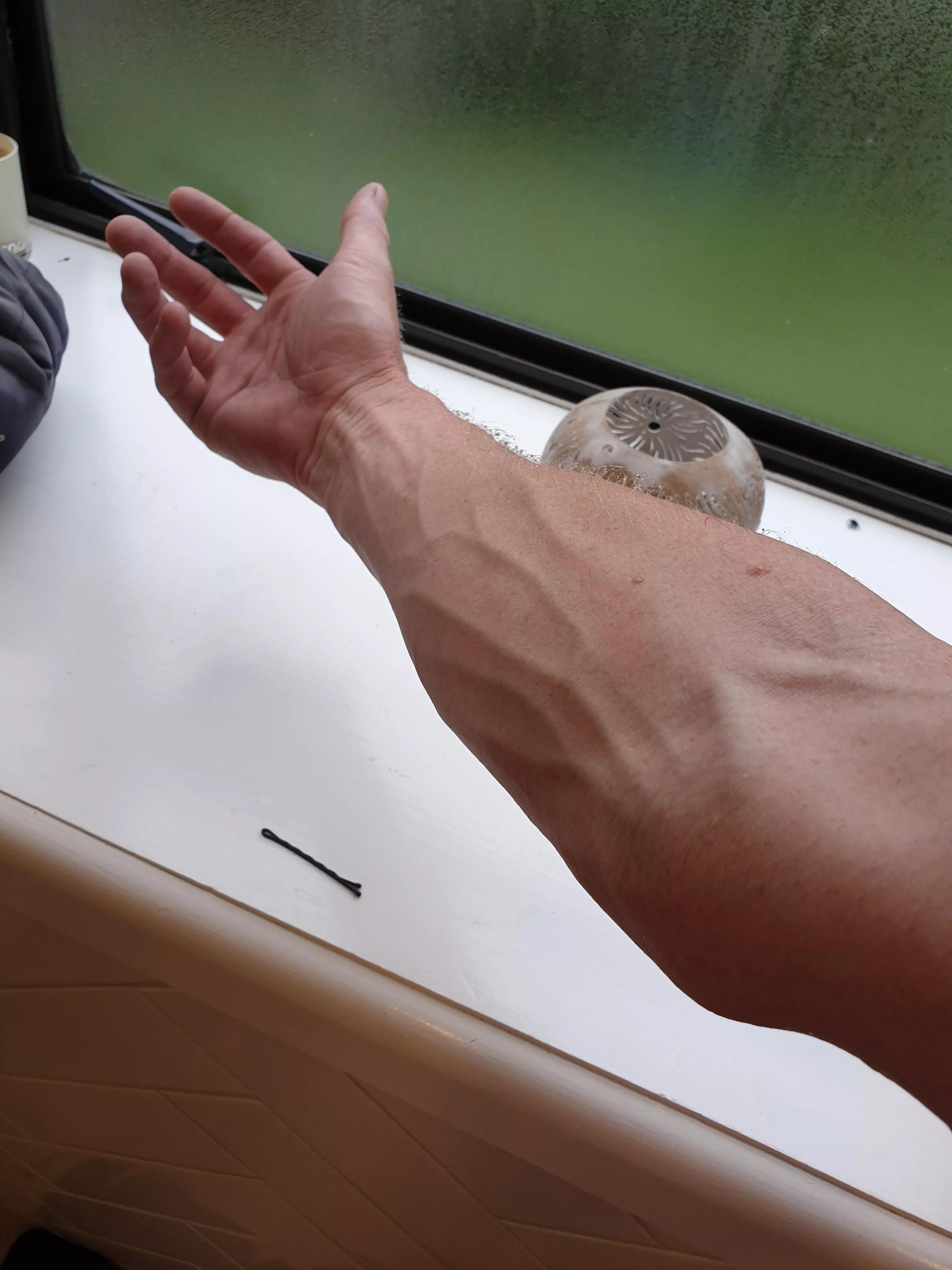 I was having a good forearm day posted by Sch5ive